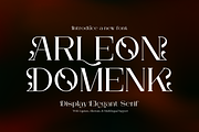Arleon Domenk Display Elegant Serif, a Serif Font by Denustudios (Thumbnail 1 of 15)