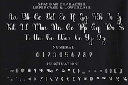 Hello Beloved, a Handwritten Font by FreshTypeINK (Thumbnail 5 of 8)