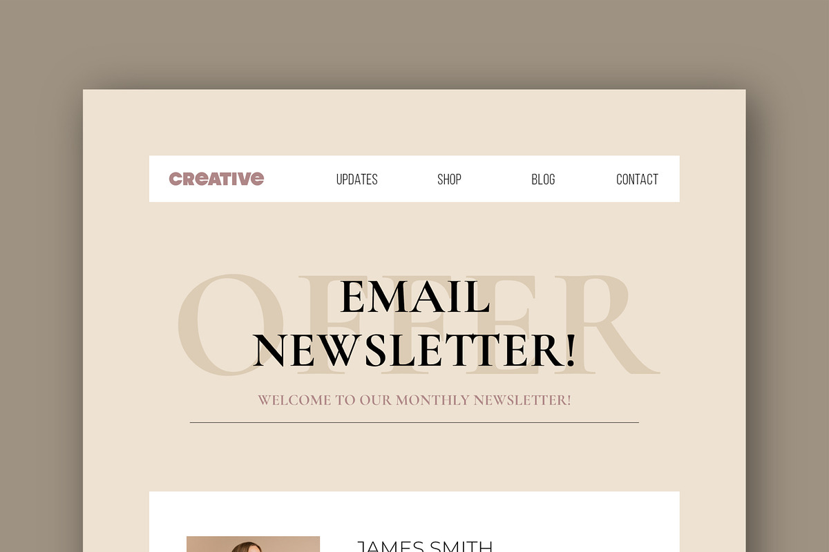 Email Newsletter Template preview 2