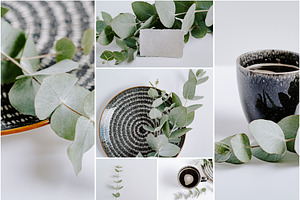 Eucalyptus Bundle