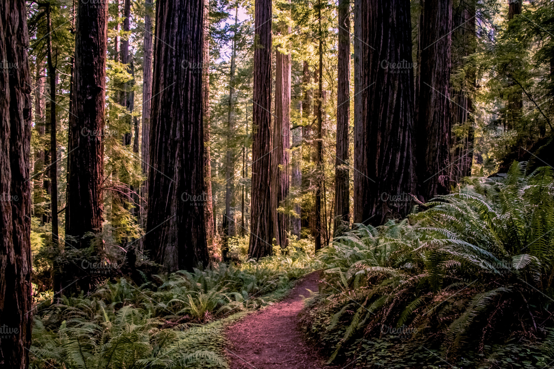 Look to The West, a Photo by Jillian Butolph