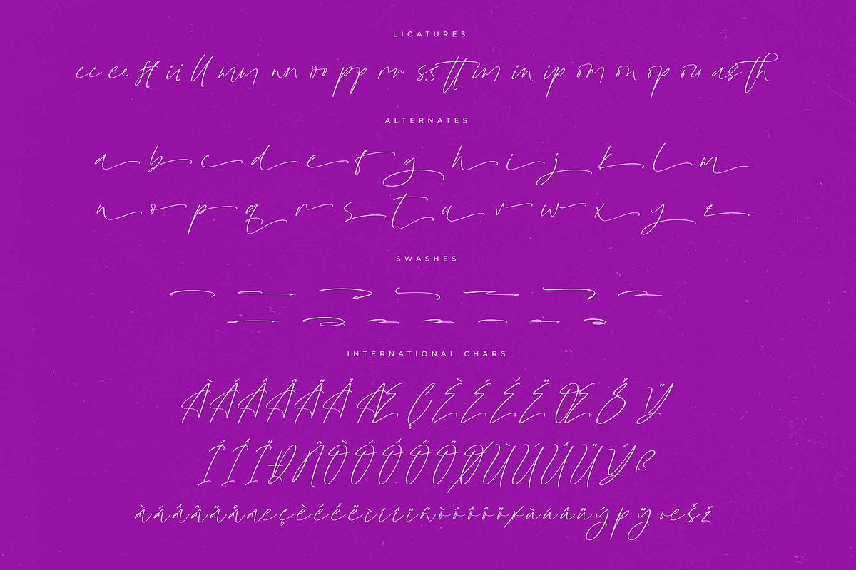 Glistening Silent Modern Stylish, a Script Font by Letterena Studios Script (Photo 14 of 15)