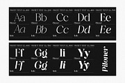 Piloner - 18 Font, a Serif Font by Pista Mova (Thumbnail 9 of 13)