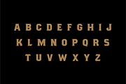 Butcher, a Serif Font by Studio One Four (Thumbnail 2 of 5)