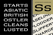 GW Dirlo, a Font by Goodwheel Studio (Thumbnail 6 of 17)