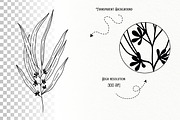 Eucalyptus Line Art Graphics, a Decorative Illustration by DENIDigitalArtSudio (Thumbnail 5 of 5)