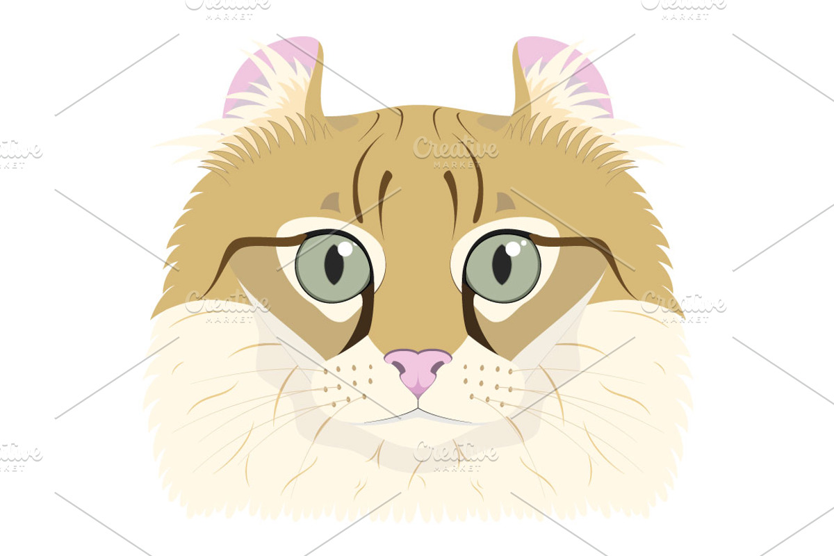 9x Cat breeds Vector Collection, an Animal Illustration by asantosg (Photo 2 of 5)