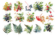 Watercolour Animals and plants, an Animal Illustration by AkvarelRiver (Thumbnail 9 of 16)