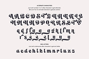 Faery Dream Display, a Serif Font by Andrey Sharonov (Thumbnail 13 of 20)