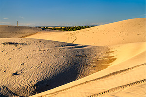 St. Anthony Sand Dunes in Idaho with, a Nature Photo by Leonid Andronov