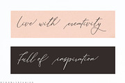 Bucking Hamshire Script, a Script Font by Nowlystudios (Thumbnail 8 of 10)