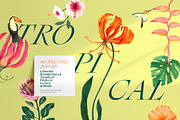 Tropical Summer Flowers, an Illustration by Manimanisa (Thumbnail 2 of 9)