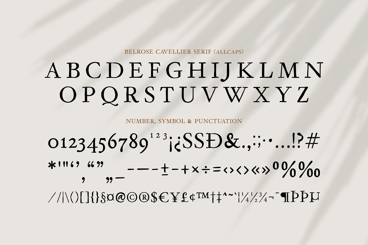 Belrose Cavellier A Modern Font Duo, a Script Font by Ainun Jinan (Photo 12 of 12)