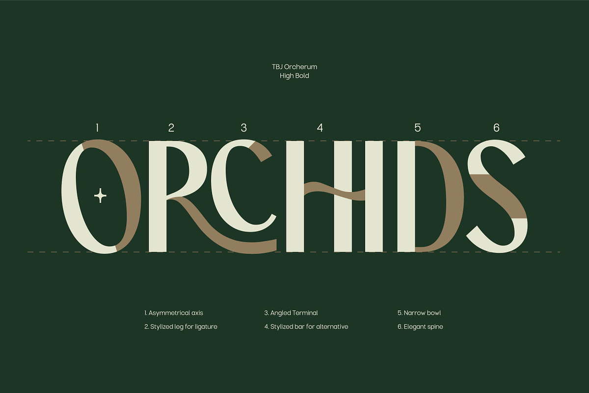 TBJ Orcherum Unique Ligatures Sans, a Font by Taboja Studio (Photo 5 of 21)