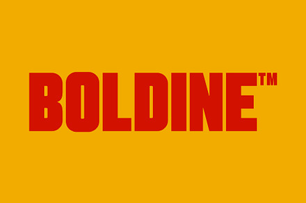 Boldine: urban & bold sans