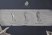 Silver Breeze Collection, a Decorative Illustration by Michael Rayback Design (Thumbnail 8 of 10)