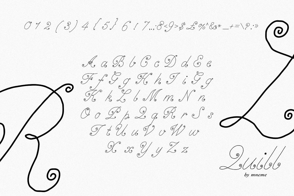 Quill - Elegant Script Font, a Script Font by Mneme (Photo 7 of 8)