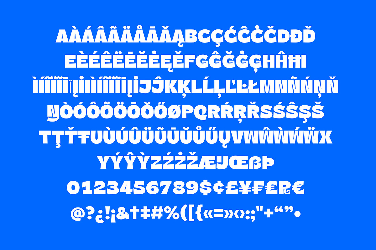 Riget Sans, a Sans Serif Font by TypeFaith Fonts (Photo 7 of 12)
