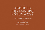 Celgin Elegant Serif Font, a Serif Font by Graphicxell (Thumbnail 8 of 8)