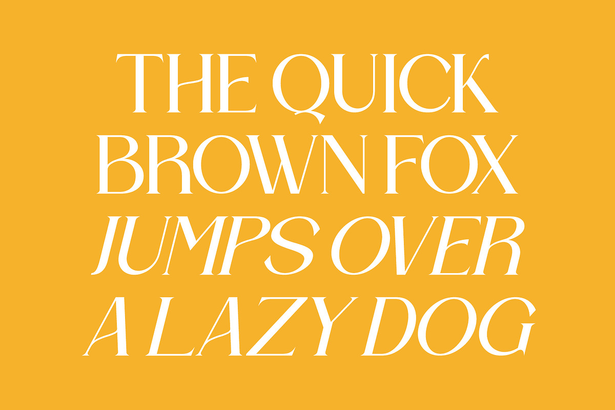 Bravillie - Serif Typeface Font, a Serif Font by Rishsketch (Photo 7 of 15)