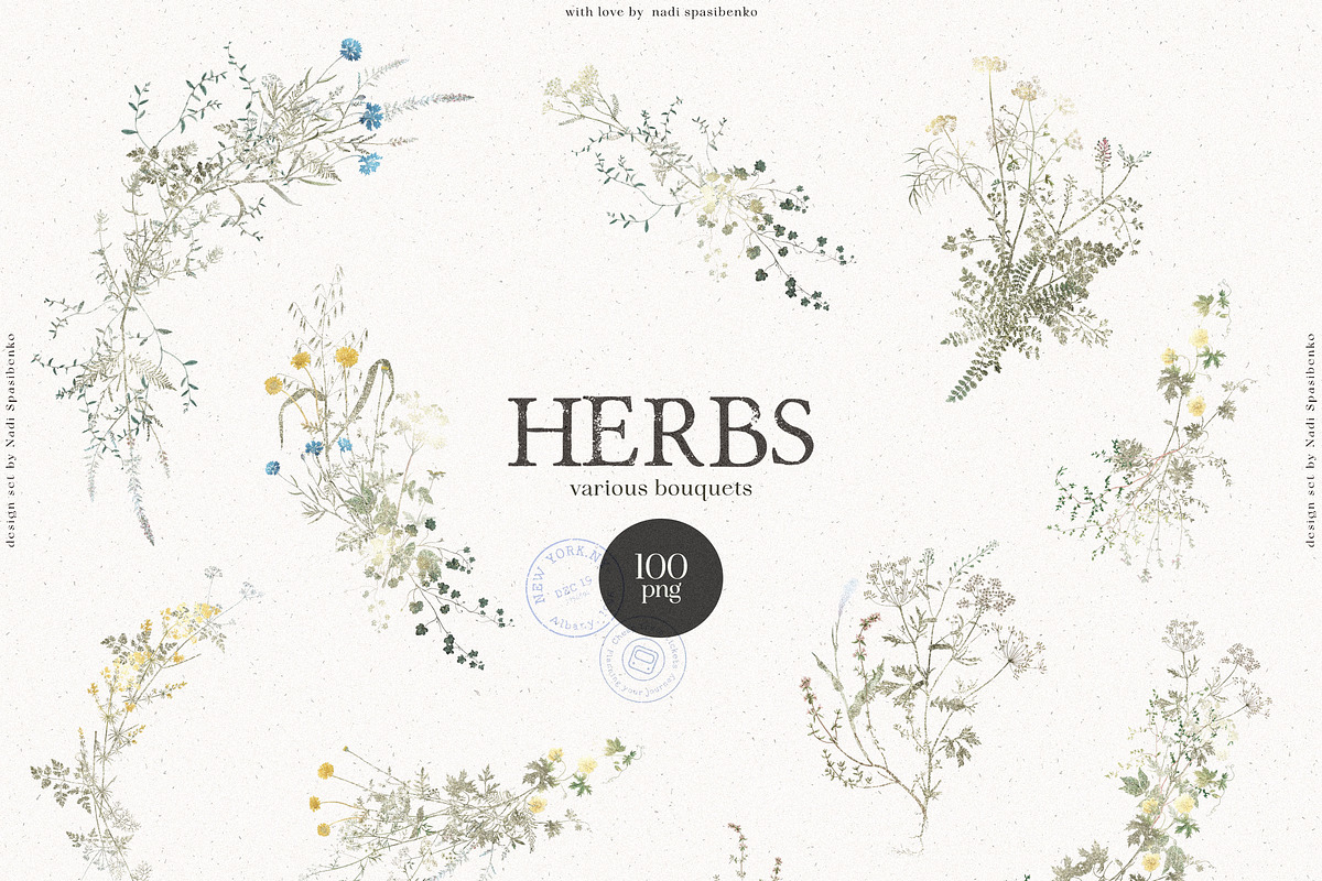 HERBS || Botanica & Glitter Effect, an Illustration by nadispasibenko (Photo 4 of 8)