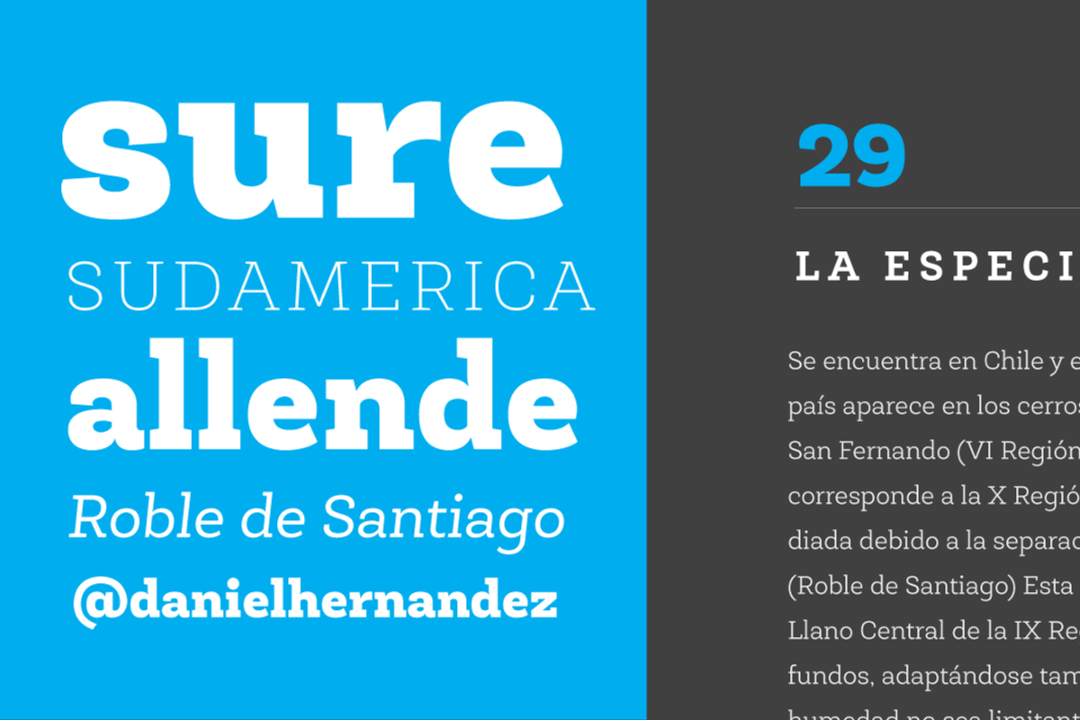 Roble, a Slab Serif Font by Latinotype (Photo 5 of 6)