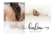 Domiland Script, a Script Font by Nissa Studio (Thumbnail 2 of 12)