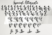 Ho ho ho December, a Script Font by Barra & Beryl Co. (Thumbnail 5 of 8)