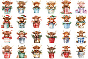 Christmas Highland Cows in Bucket, an Illustration by Designking (Thumbnail 4 of 4)