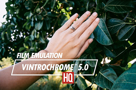 Vintrochrome 5.0 | Film Emulation