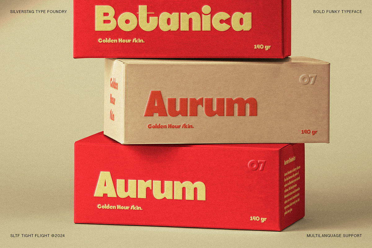 SLTF Tight Flight - Bold Funky Font, a Sans Serif Font by SilverStag Type Foundry (Photo 17 of 19)