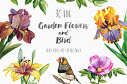 70% OFF! Floral set. Over 115 PNG, a Texture Illustration by Eva Katerina (Thumbnail 3 of 8)