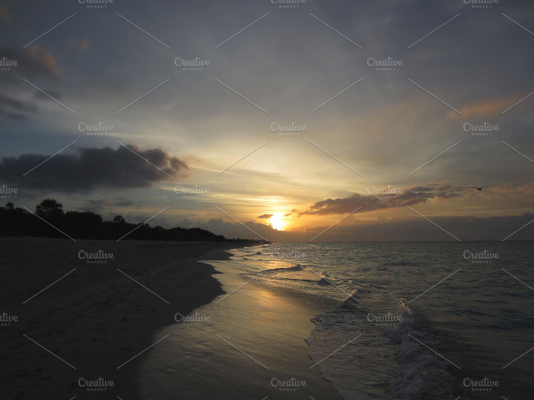 Beach life featuring dramatic, sunset, and sun