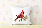 Red Cardinal PNG Christmas Bundle, an Illustration by Moon Studio (Thumbnail 11 of 11)
