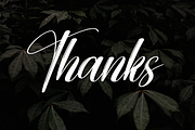 Aesthetic | Script Font, a Handwritten Font by Scratchones (Thumbnail 9 of 9)