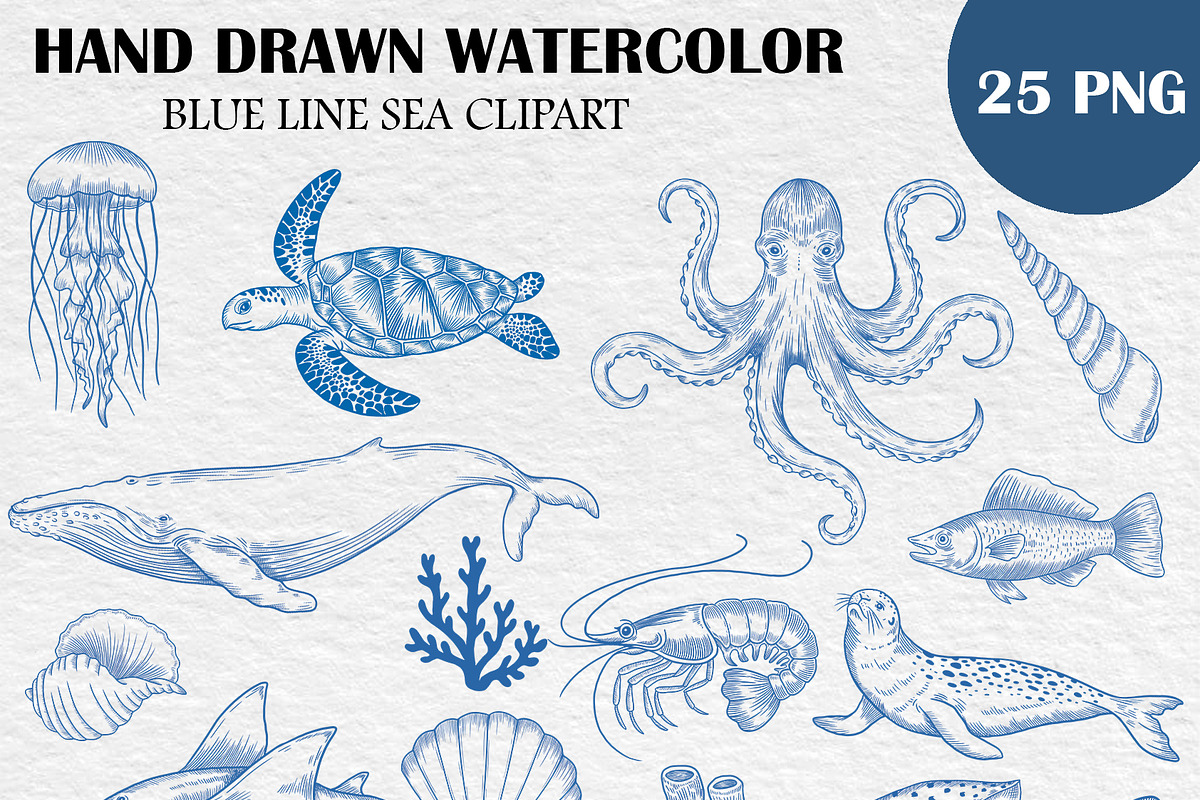 Blue Line Sea Animals PNG Clipart, an Animal Illustration by PatternPalette (Photo 2 of 10)