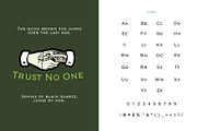 Veneer, a Serif Font by Loudoun Design Co. (Thumbnail 6 of 11)