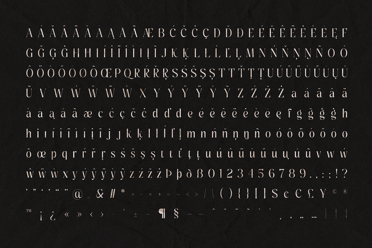 Pure Motif - An Elevated Serif Font, a Serif Font by VP Fonts (Photo 22 of 27)