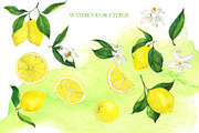 Watercolor citrus collection, a Food Illustration by Watercolor & sketches (Thumbnail 2 of 8)