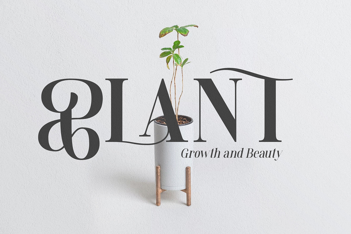Mylierka - Serif Font (11 Fonts), a Serif Font by Maculinc Type (Photo 9 of 15)