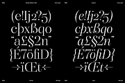 Dupioni - 6 font family, a Serif Font by Silktype (Thumbnail 7 of 21)