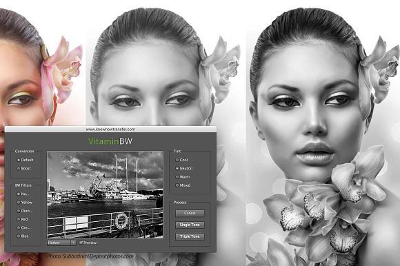 VitaminBW Triple Tone B&W Converter preview 7