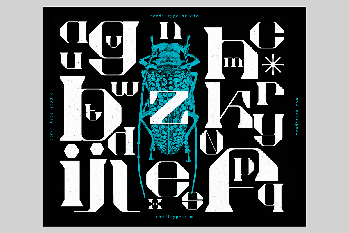 Akadis Display Font, a Serif Font by Tondi Type Studio (Photo 16 of 18)