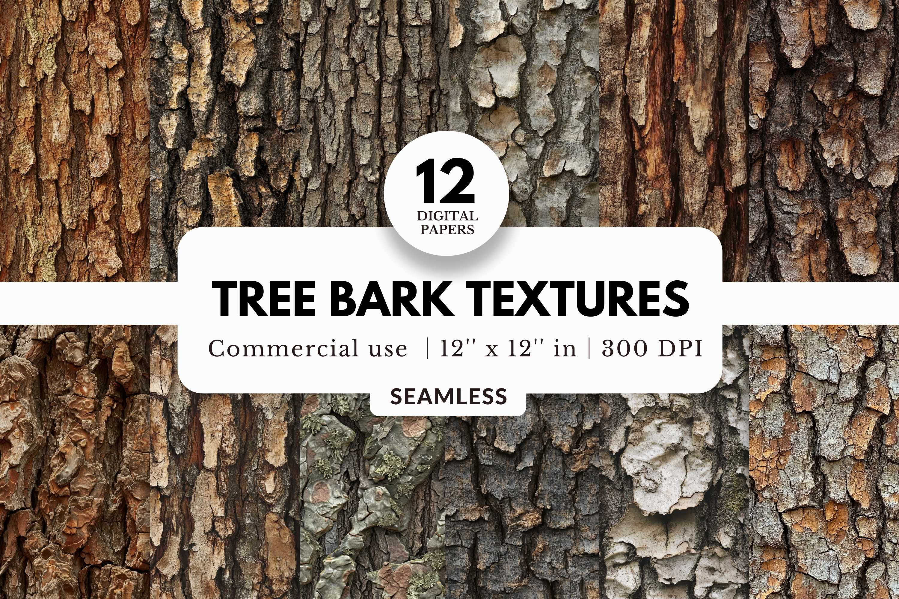 12 Tree Bark Textures Digital Papers, a Texture Graphic by NorthWindPixels