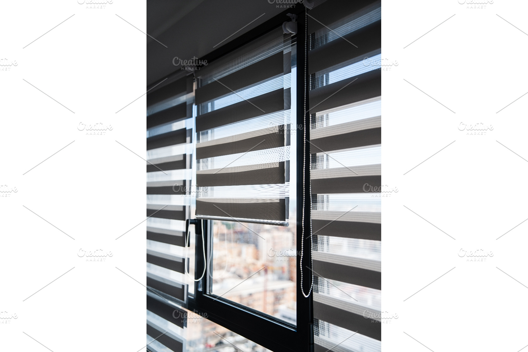 Wide Home Interior Window With Zebra, an Architecture Photo by volodymyrshtun13795