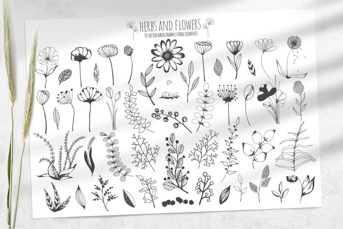 Floral Elements. Seamless Patterns., an Illustration by Diana Kovach (Photo 8 of 10)