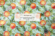 CITRUS FRUITS, an Illustration by Elena_Sedova (Thumbnail 6 of 8)