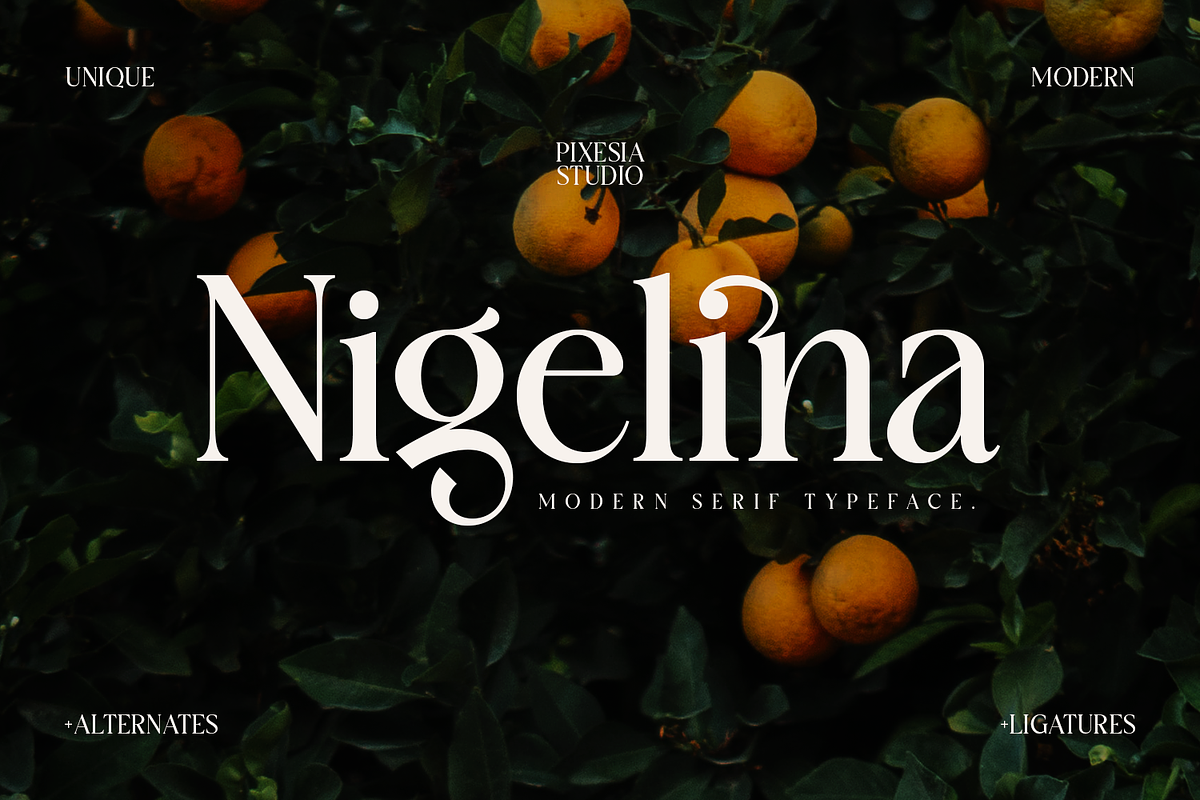 Nigelina - Modern Vintage Serif, a Serif Font by Pixesia Studio (Photo 1 of 16)