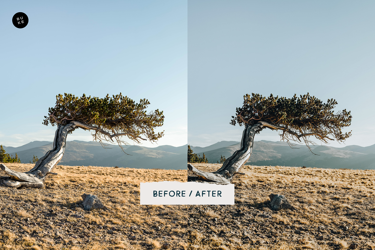 The Dreamer – 8 Lightroom Presets, a Preset Add-On by SHOOM HOUSE (Photo 8 of 11)