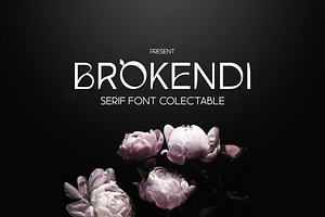 Brokendi, a Serif Font by lelevien